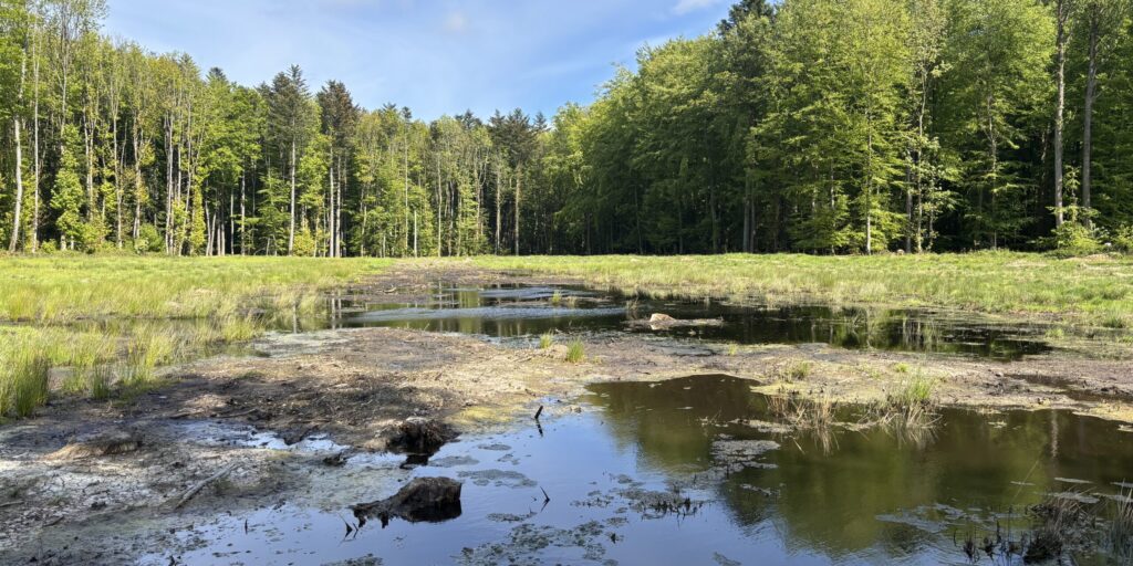 Natur, vandmiljø og grøn trepart