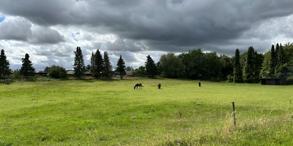 Projektleder til vores afdeling for vand og klimatilpasning